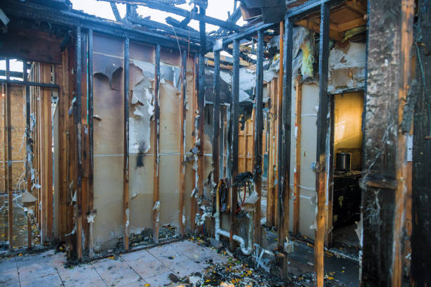 Professional Odor Removal technician working in Island Lake, IL
